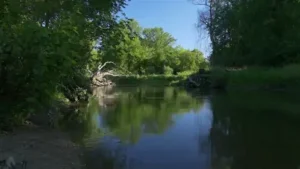 Morning Light Landscape Live Wallpaper